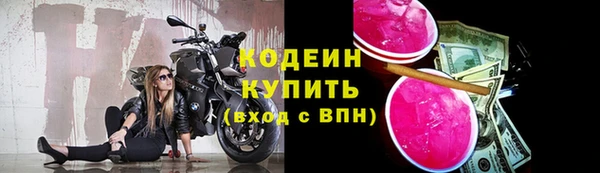 spice Карпинск