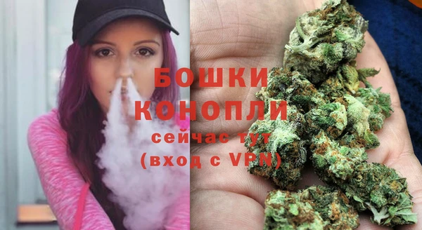 spice Карпинск
