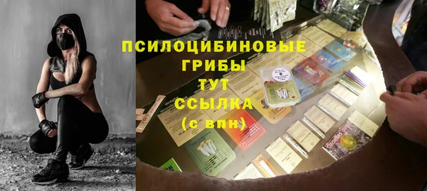 spice Карпинск