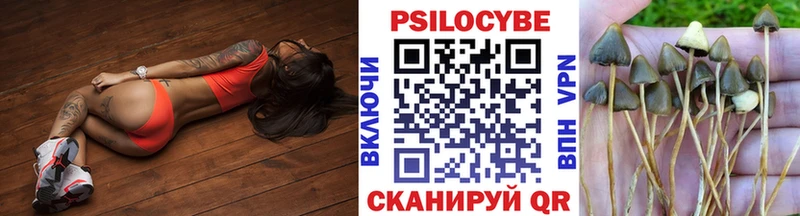 Купить закладки  Азов  Псилоцибиновые грибы мухоморы 